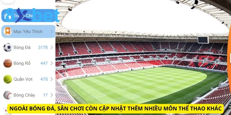 Lịch Thi Đấu 8xbet: Cập Nhật Nhanh Chóng, Chính Xác Nhất 3 Ngoài bóng đá, sân chơi còn cập nhật thêm nhiều môn thể thao khác