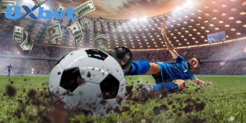 Hướng Dẫn Chi Tiết Cá Cược Bóng Đá Tại 8XBET Cho Tân Thủ 4 Quy trình cược bóng đá chi tiết hội viên cần biết
